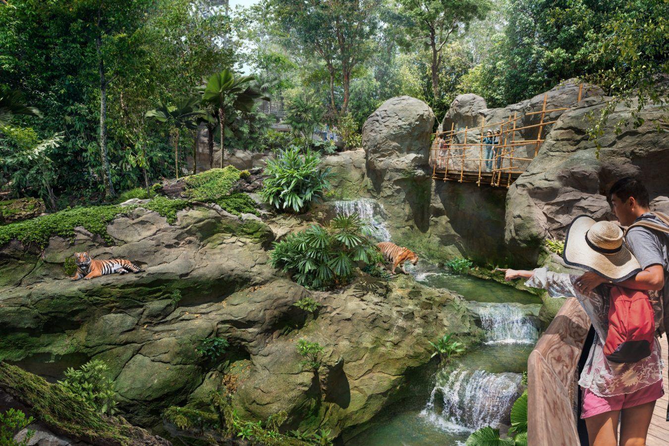 Rainforest Wild Asia: What to know about the new Singapore wildlife park