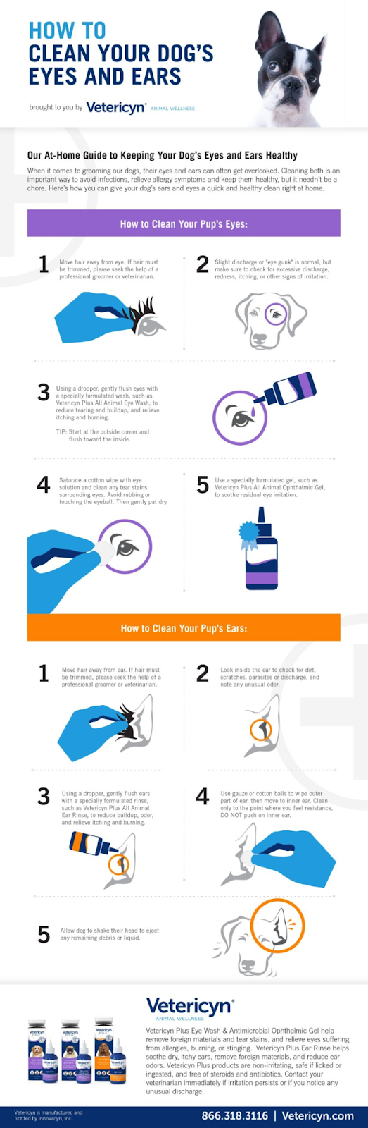 best-dog-eye-care