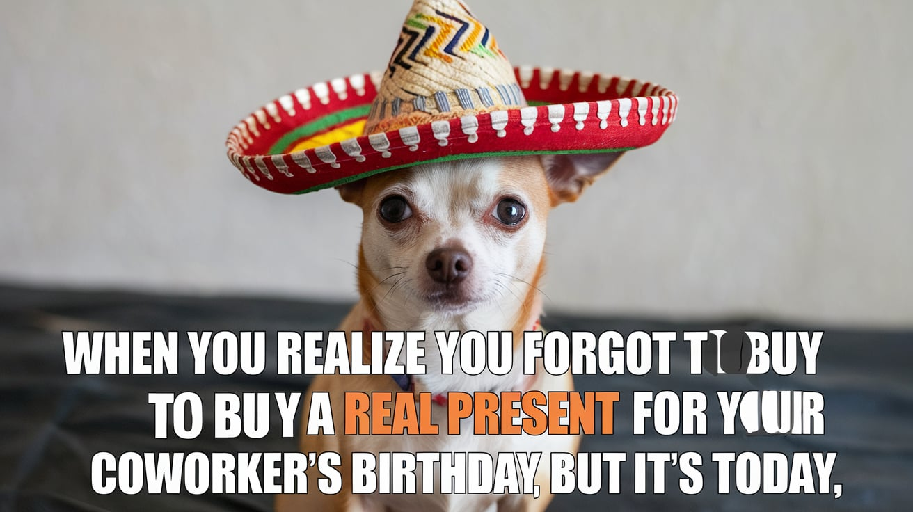 Chihuahua Meme