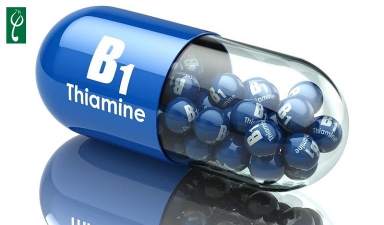 Vitamin B1 cung cấp dưỡng chất cần thiết giúp tóc phát triển khỏe mạnh