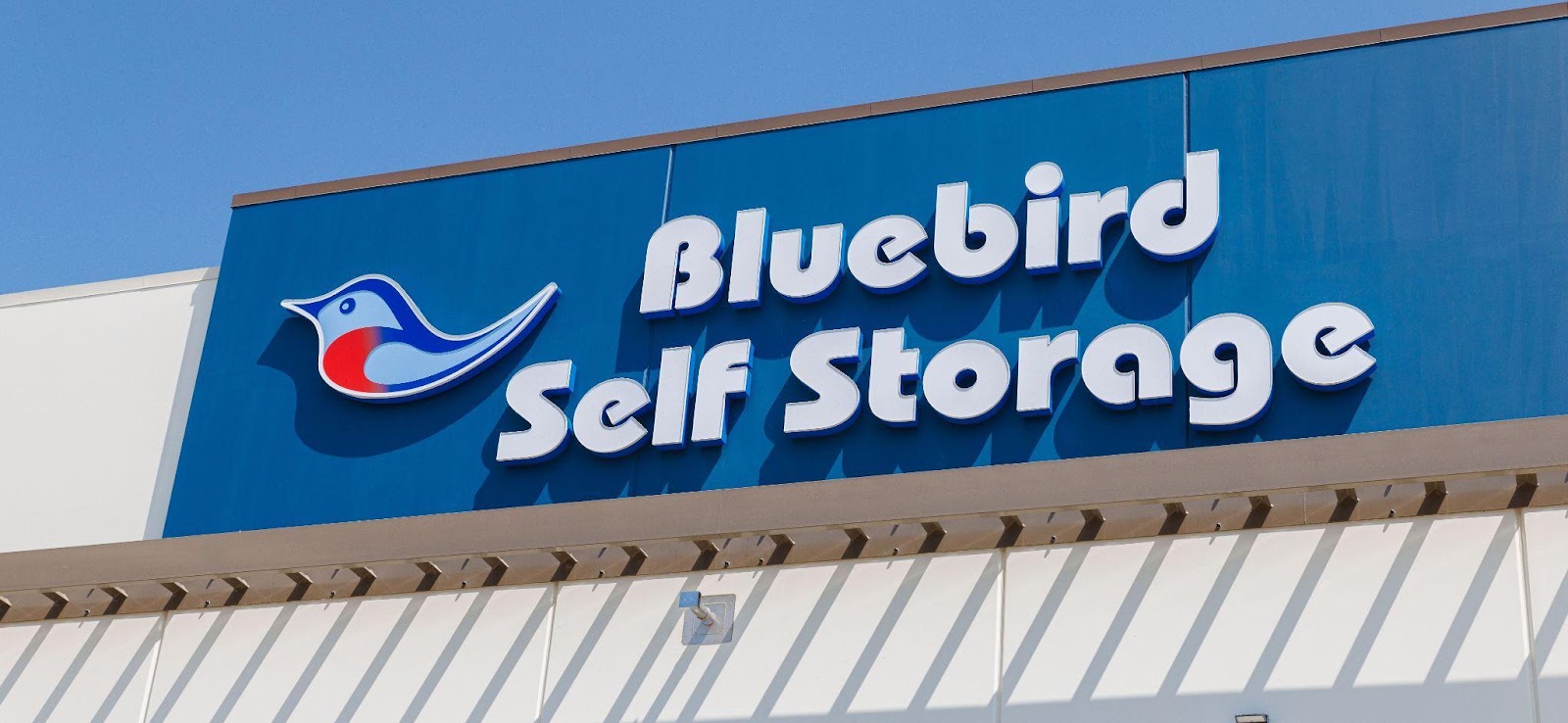 Bluebird Self Storage Branding