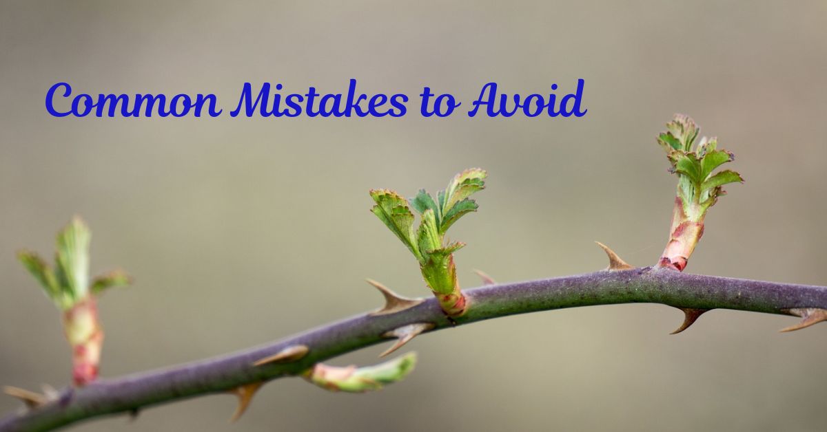 common-mistakes-to-avoid