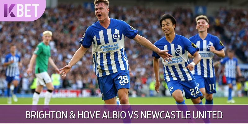 Brighton & Hove Albion vs Newcastle United
