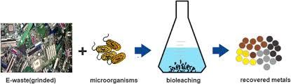 Bioleaching mobilization of metals from e-waste | Download Scientific  Diagram