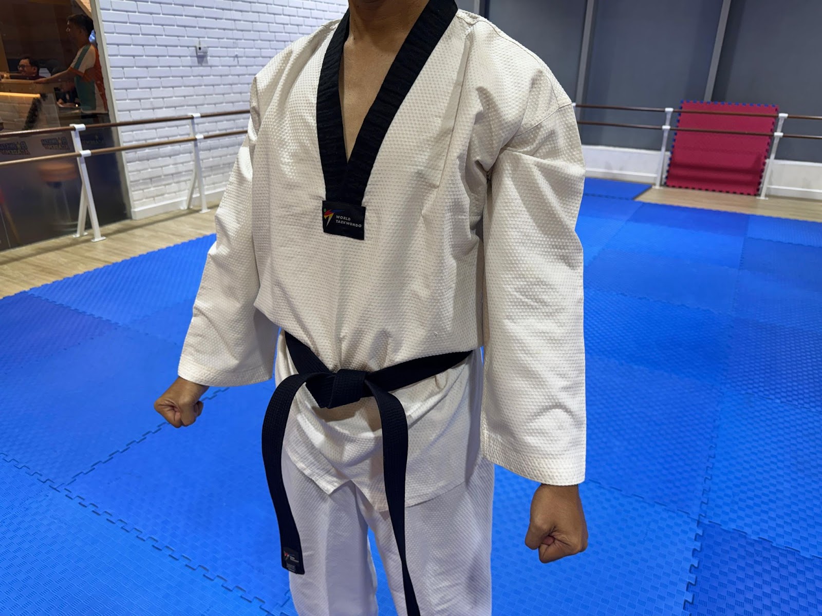 Teknik Blok Taekwondo - Blok Trunk Push Low Double (Arae-Hecho-Makgi) 