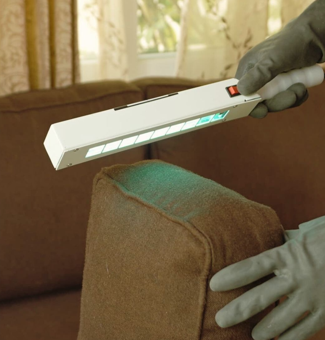 A Complete Guide to Professional Sofa Cleaning Services: What to Expect