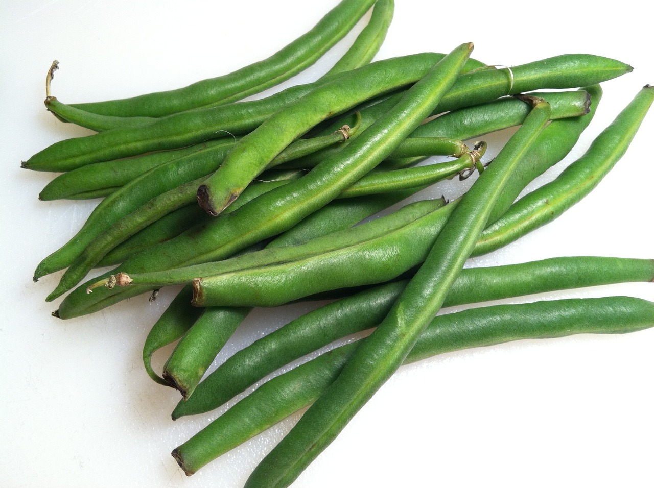 Green beans  Vegetable Seeds for Arizona