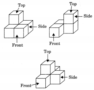 Visualising Solid Shapes Class 7 Extra Questions Maths Chapter 15 Q10