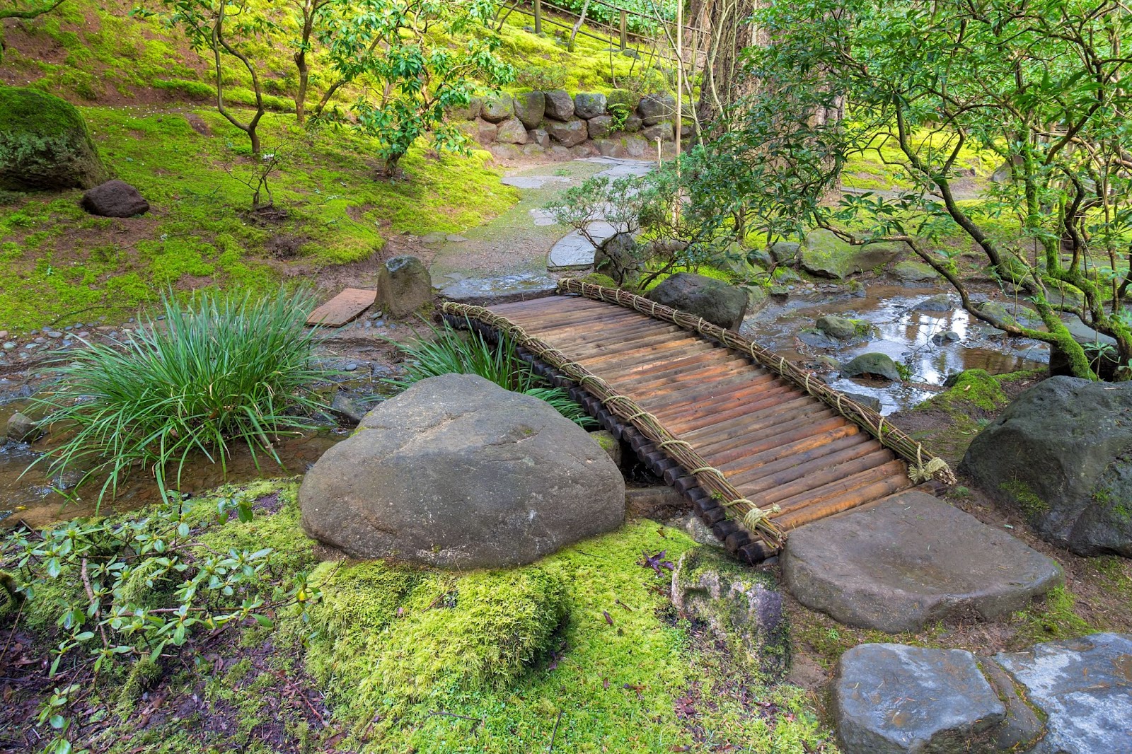 bridge creek garden