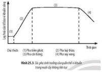 BÀI 25: SINH TRƯỞNG VÀ SINH SẢN Ở VI SINH VẬT