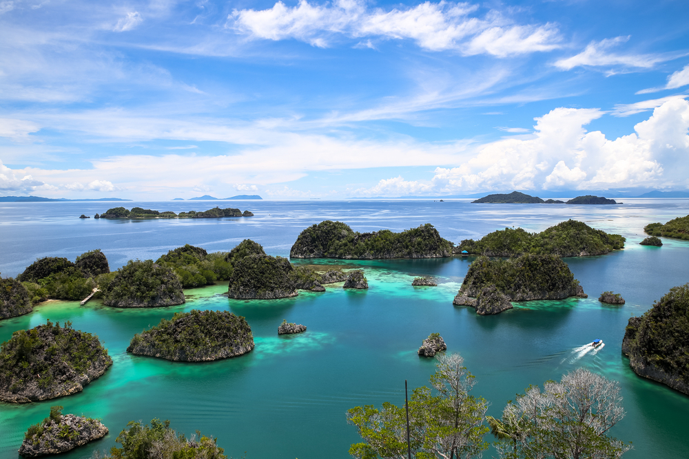 Raja Ampat, Indonesia 