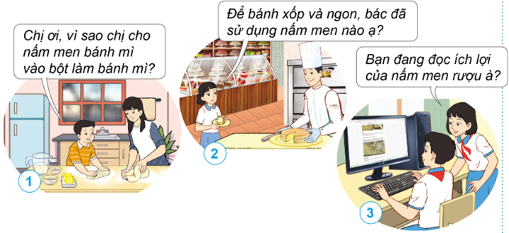 BÀI 16: NẤM MEN VÀ NẤM MỐC