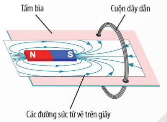 TRẮC NGHIỆM