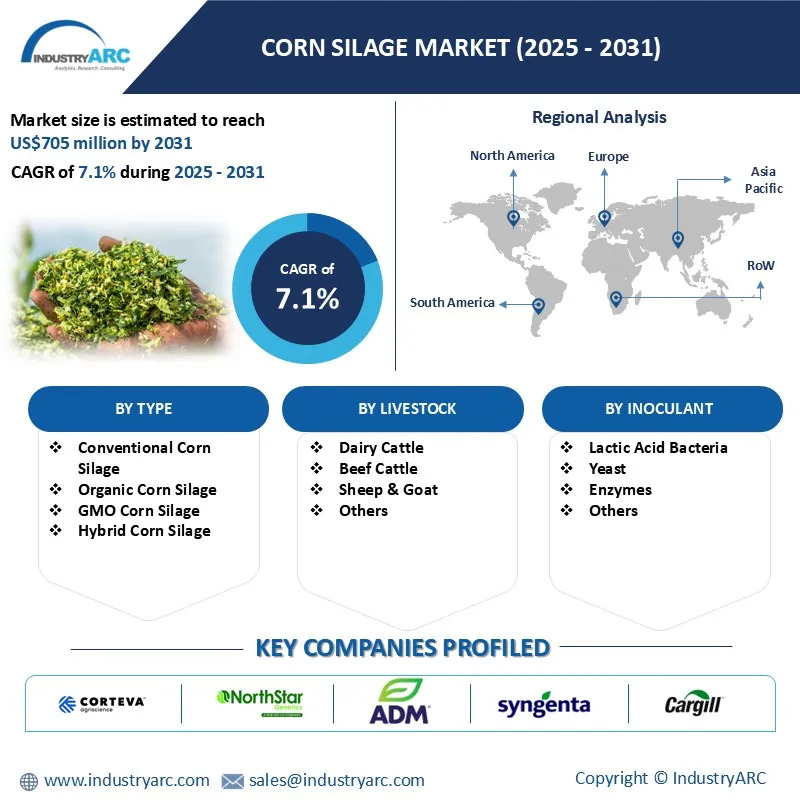 Corn Silage Market