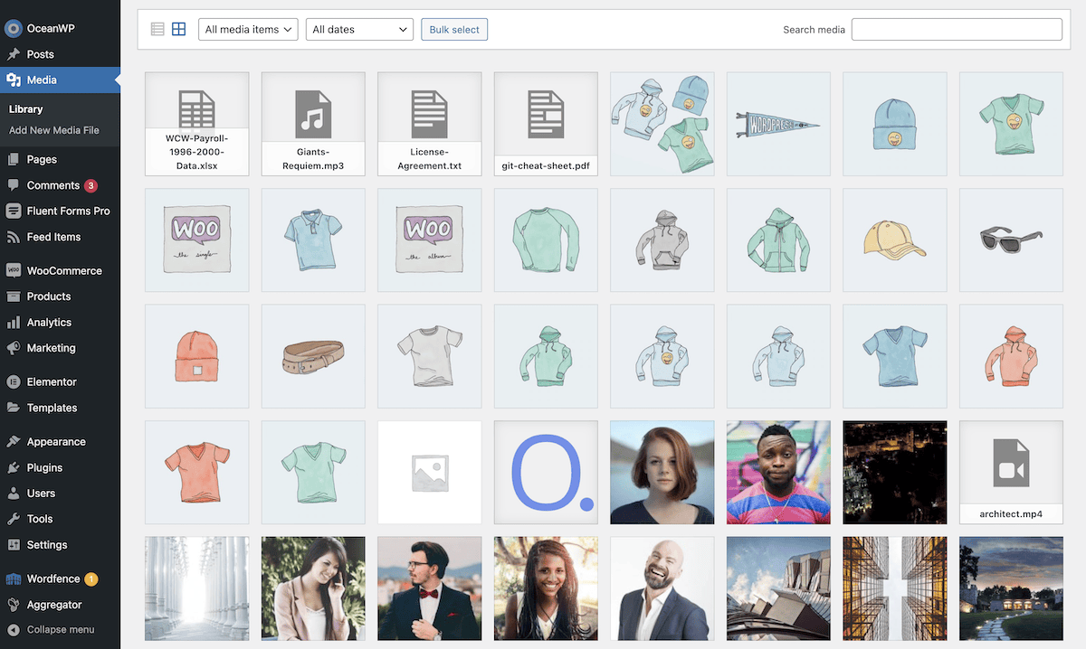 The main WordPress Media Library screen.