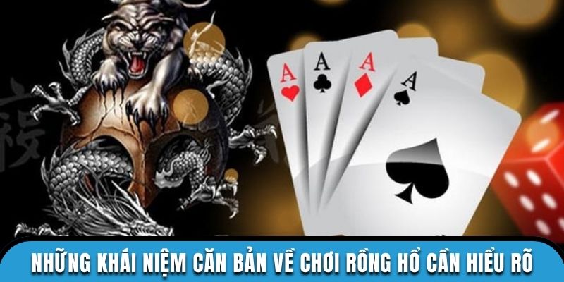 Những khái niệm căn bản về chơi rồng hổ cần hiểu rõ