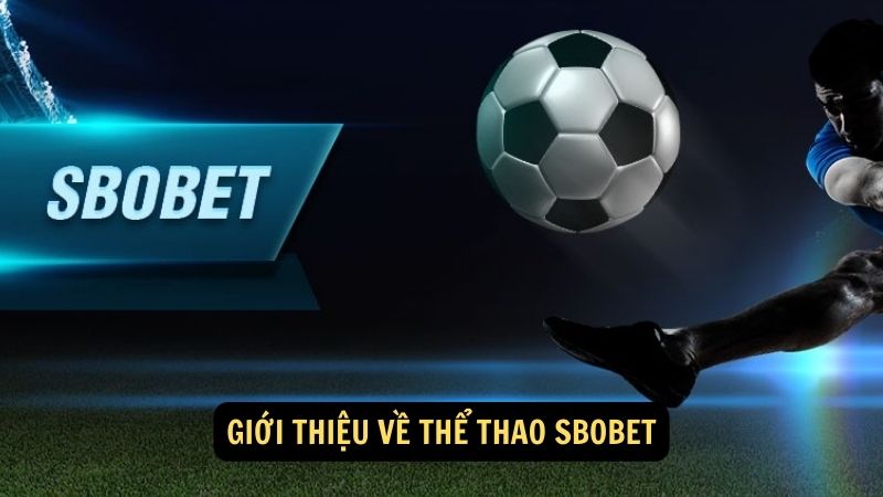 Giới thiệu về thể thao sbobet