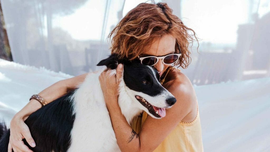 10 Affectionate Dog Breeds That Form Strong Bonds with Their Owners