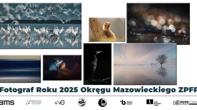 Вернисаж фотографий, победивших в конкурсе «Фотограф года 2025»