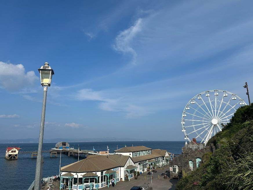 A ferris wheel next to a pier

Description automatically generated