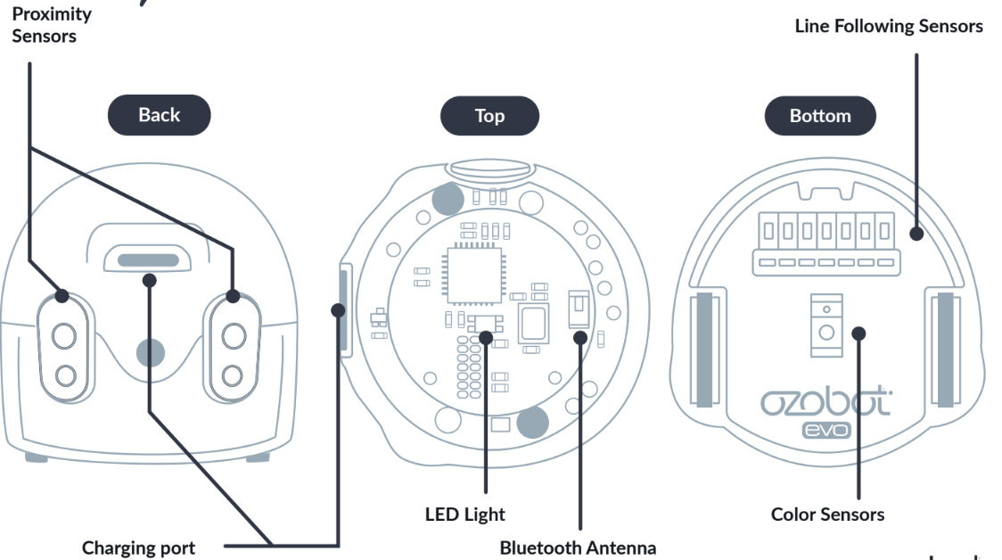 A picture showing Evo coding robot parts and what they are