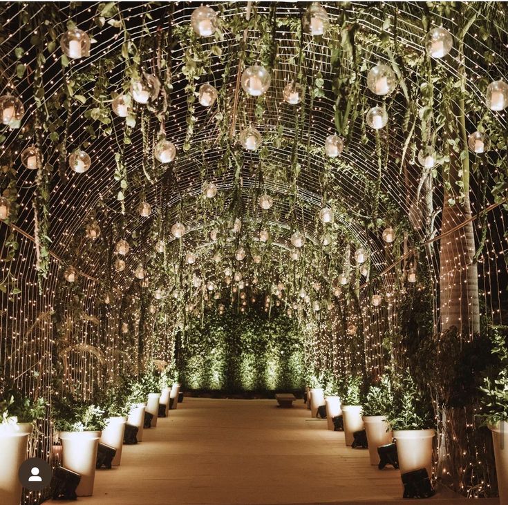 Couple's grand entrance at the wedding, enhanced by ambient lighting and lush greenery for a breathtaking shot.