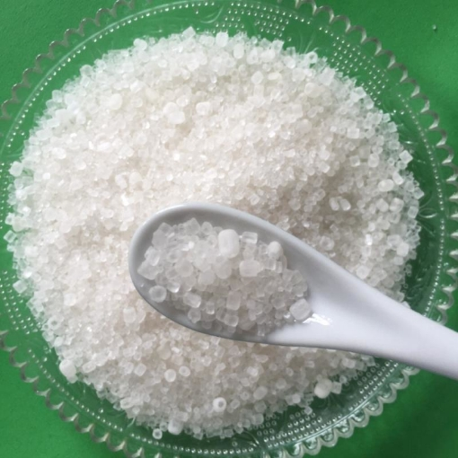 Bệnh nứt thân, xì mủ: Nguyên nhân, triệu chứng & cách phòng trị
