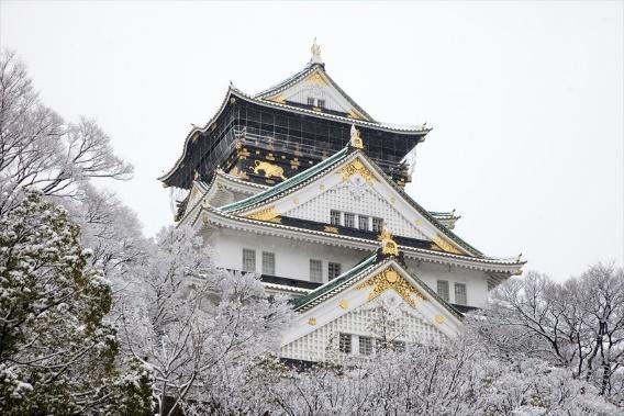 Chill Out in an Osaka Winter Wonderland