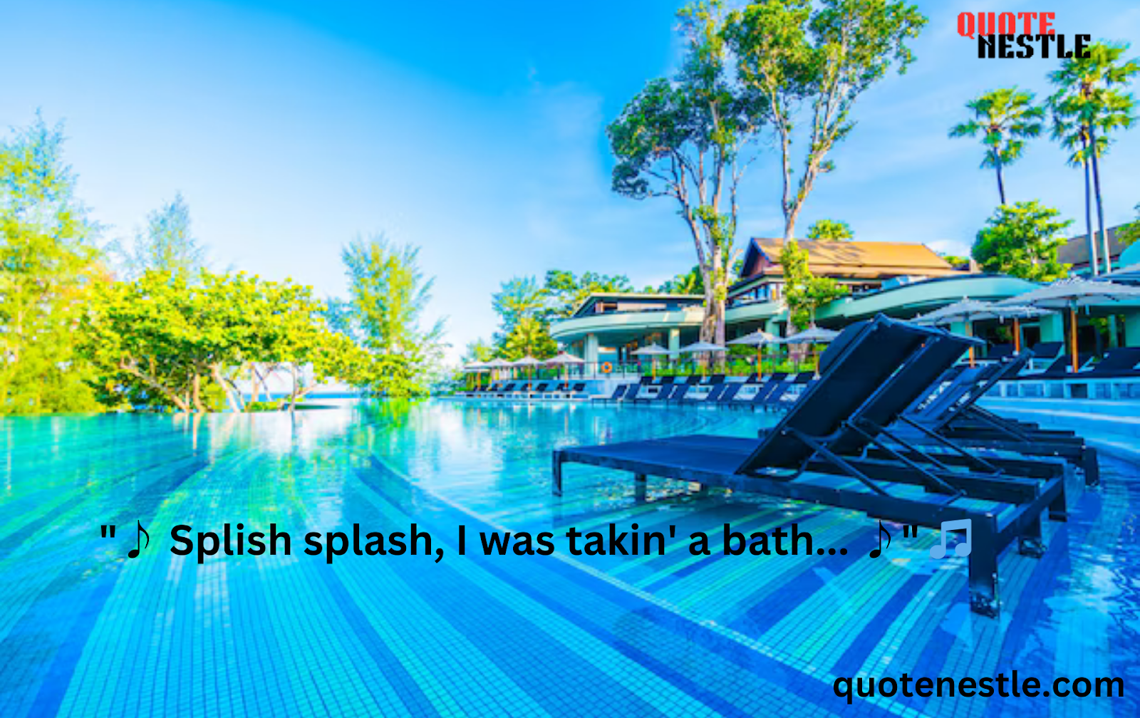 150+ Best Swimming Pool Quotes - Quote Nestle