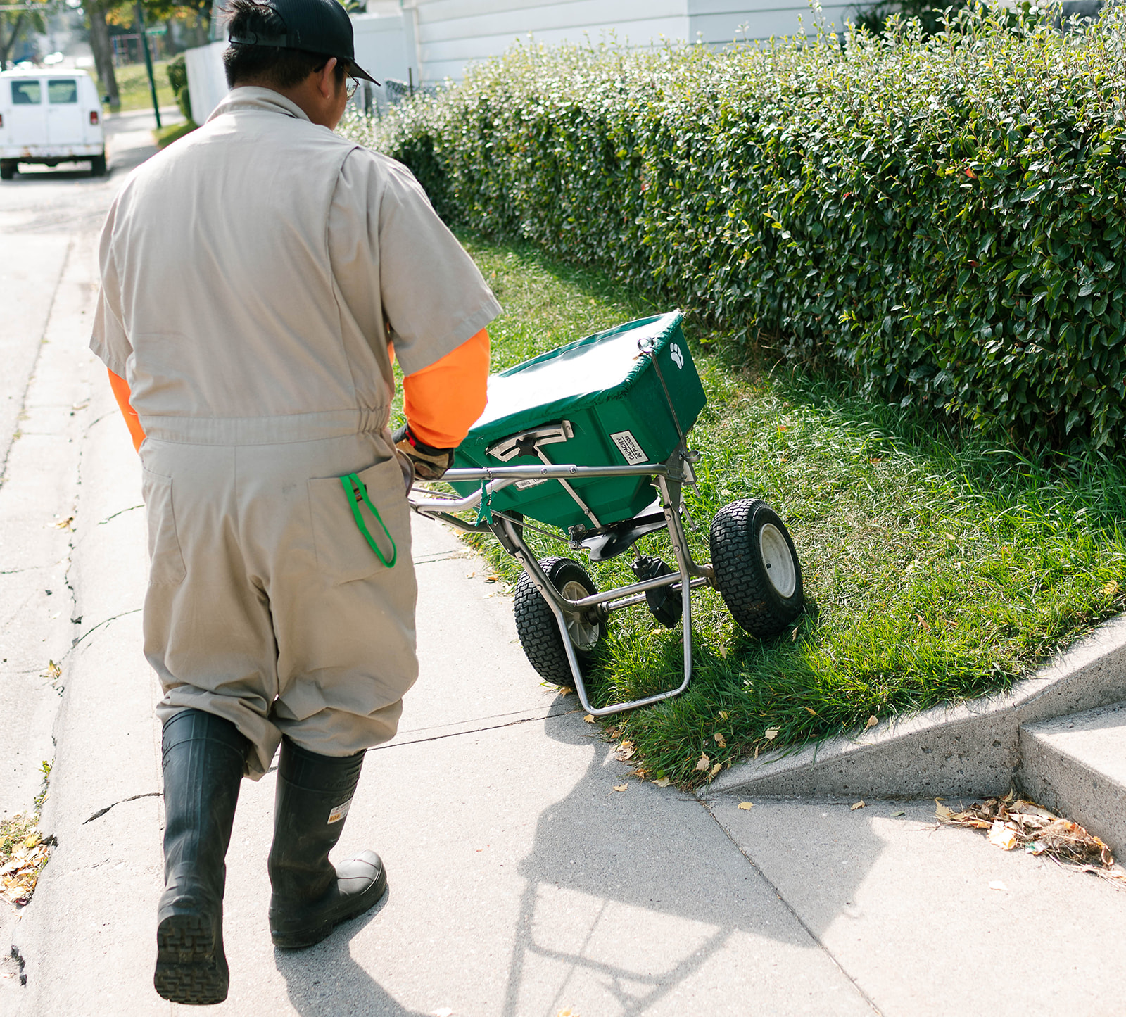 Fertilize the Lawn 