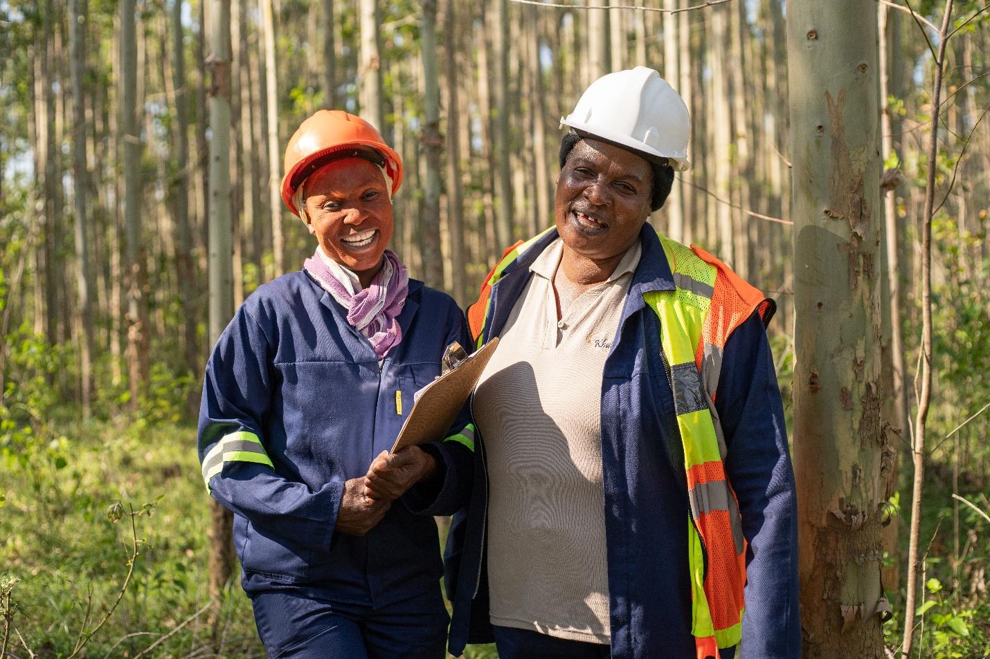 Zululand contractors