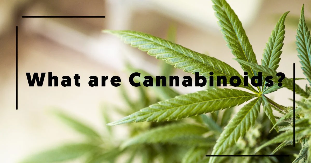 What are Cannabinoids?