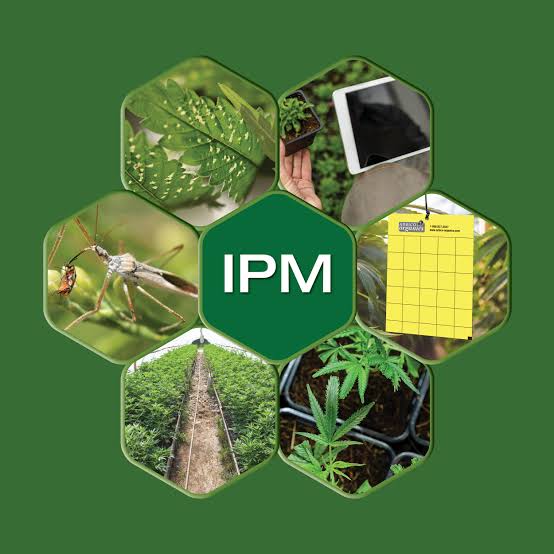 Integrated Pest Management