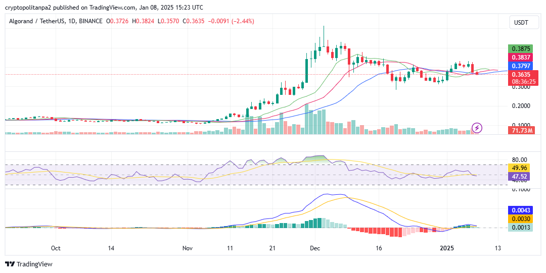 Grafico giornaliero ALGO/USD. Fonte immagine: TradingView