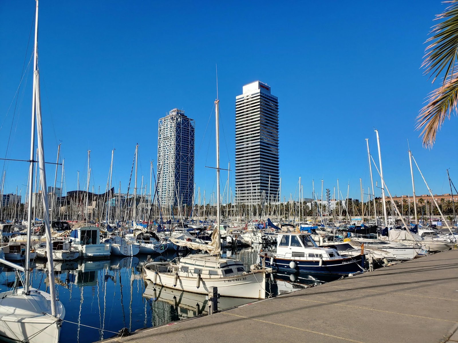 The Parc Olímpic marina with boats in the water