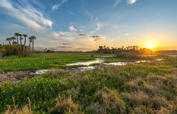 The Quiet Side of Nature in 15 Elegant Images, elegant nature, quiet landscapes, nature, landscape, peaceful world, gentle views