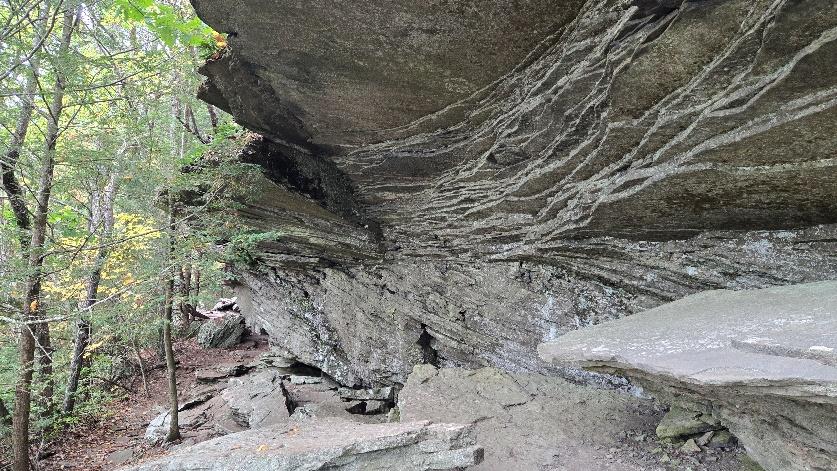 A rock formation with trees in the background

Description automatically generated