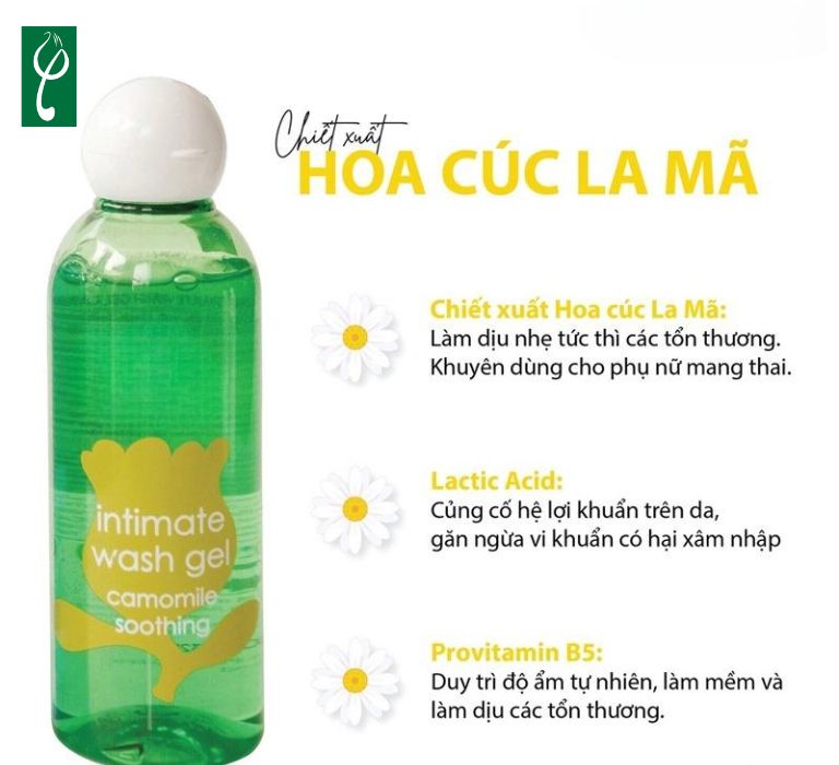 Dung dịch vệ sinh phụ nữ cúc la mã hỗ trợ kháng viêm, chống khuẩn