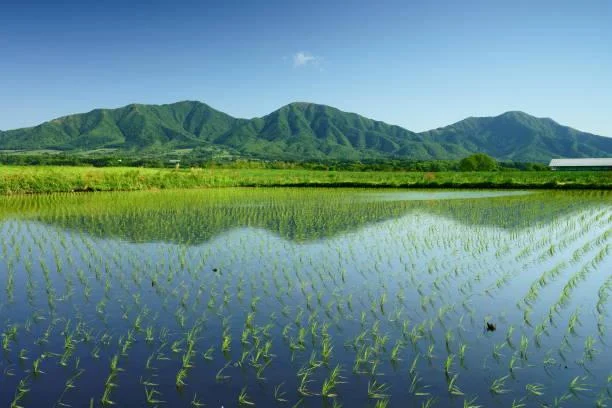 Nature’s Calm: 18 Peaceful Views in Pictures, calming pictures, peaceful views, nature, landscape, serene earth, relaxing images