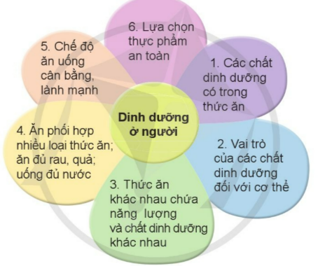 ÔN TẬP CHỦ ĐỀ THỰC VẬT VÀ ĐỘNG VẬT