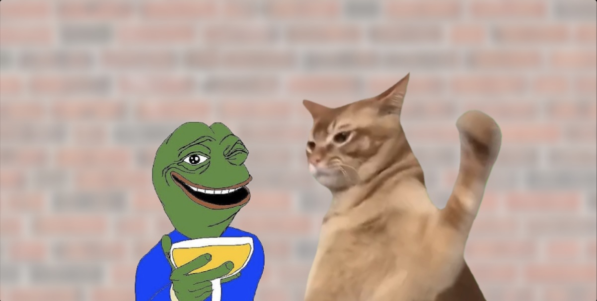 New Cat Meme Coin Catslap Goes Live, Prepares To $SLAP