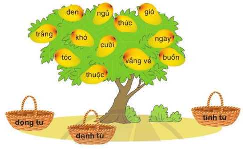 BÀI 10: ÔN TẬP CUỐI HỌC KÌ I