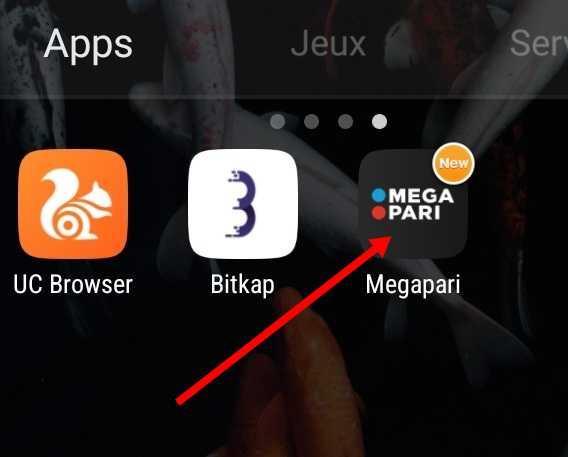MegaPari application