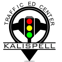 traffic ed logo