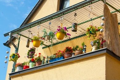 Charm of hanging Artificial plants