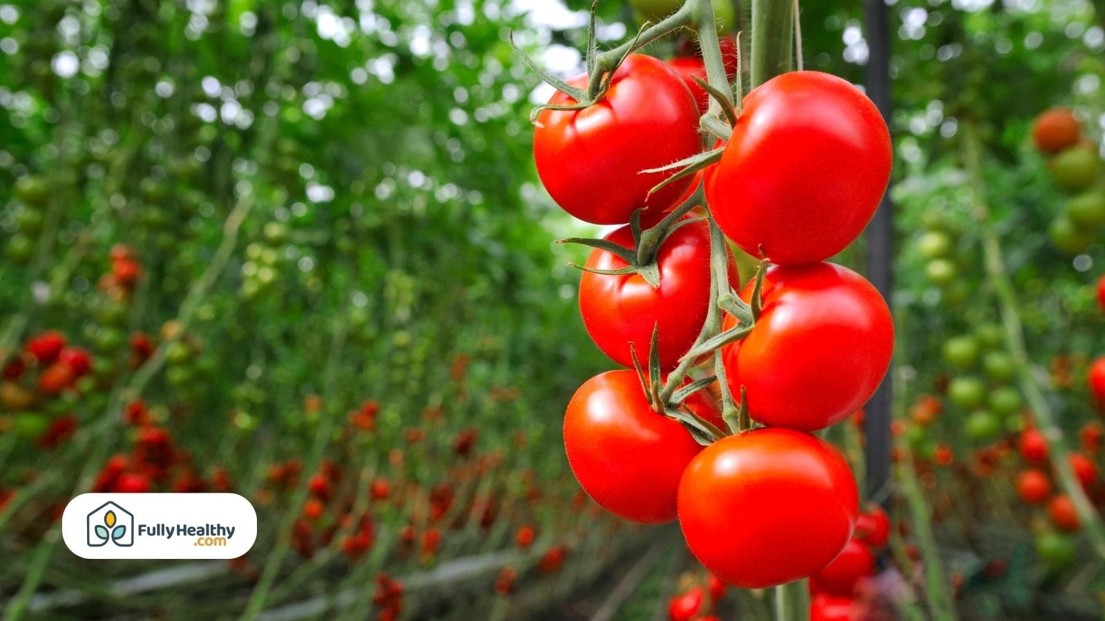 Whole and sliced tomatoes on wooden surface with scattered peppercorns