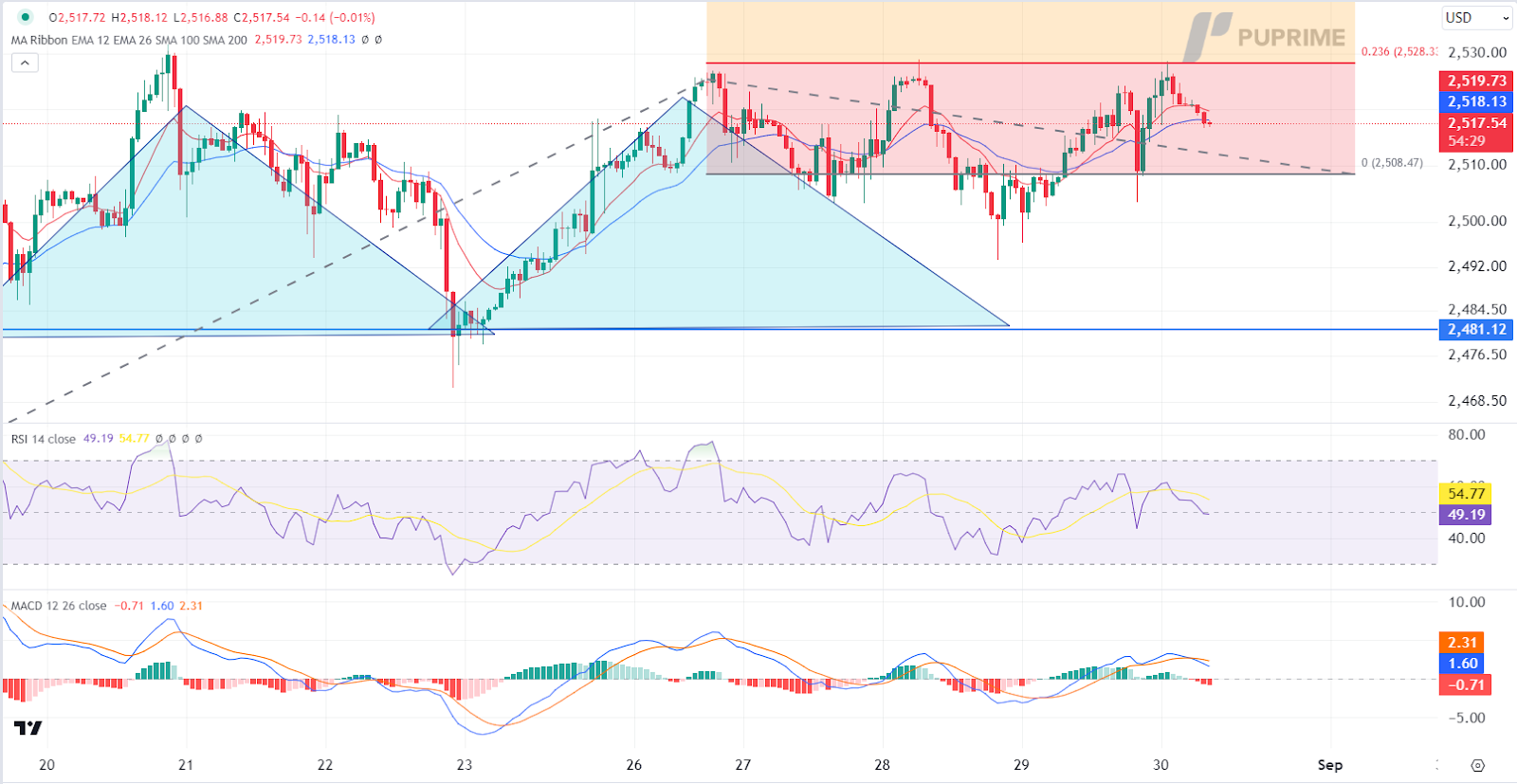 XAU/USD gold price chart 30 August 2024