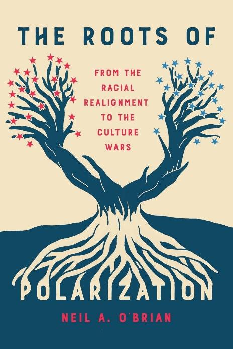 the roots of polarization book cover