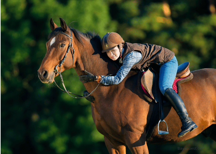 Benefits of Horse Riding