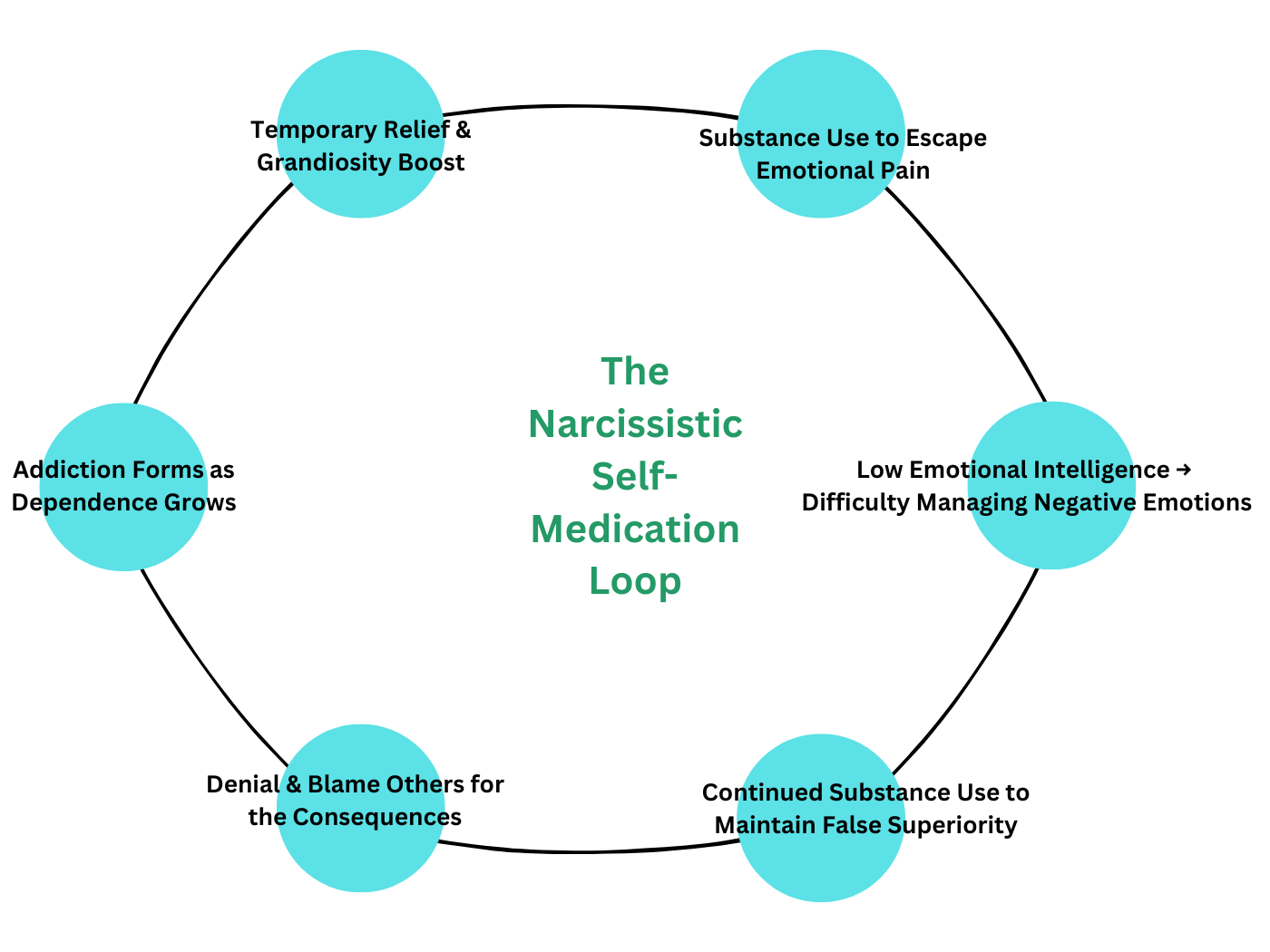 The Narcissistic Self-Medication Loop - Cycle of NPD, Substance Abuse, Denial, and Addiction Reinforcement.